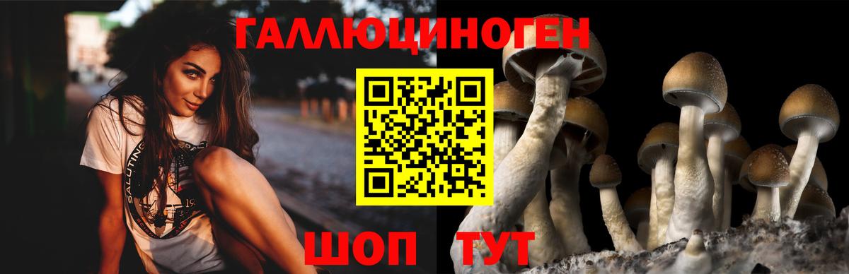 Псилоцибиновые грибы Magic Shrooms  закладка  Ивантеевка  Вход с VPN 